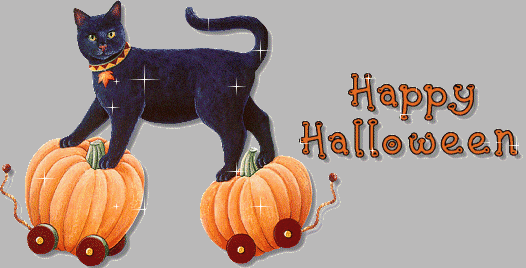 Czarny kot jeździ na dyniach szczęśliwego Halloween